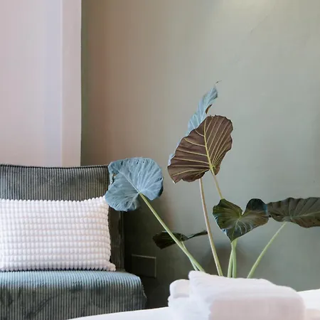 Casa Penelope Tatil Evi Tavira